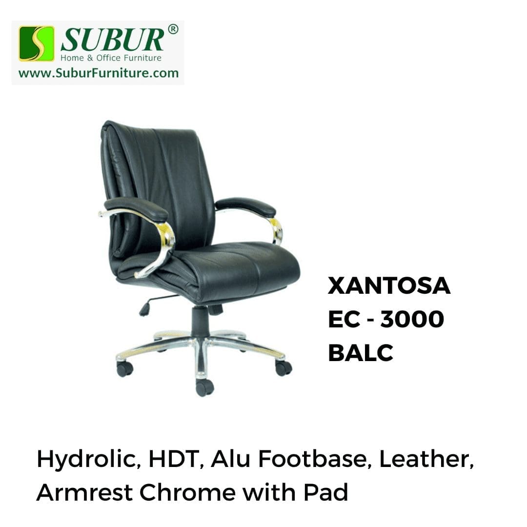 XANTOSA EC - 3000 BALC