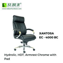 XANTOSA EC - 4000 BC