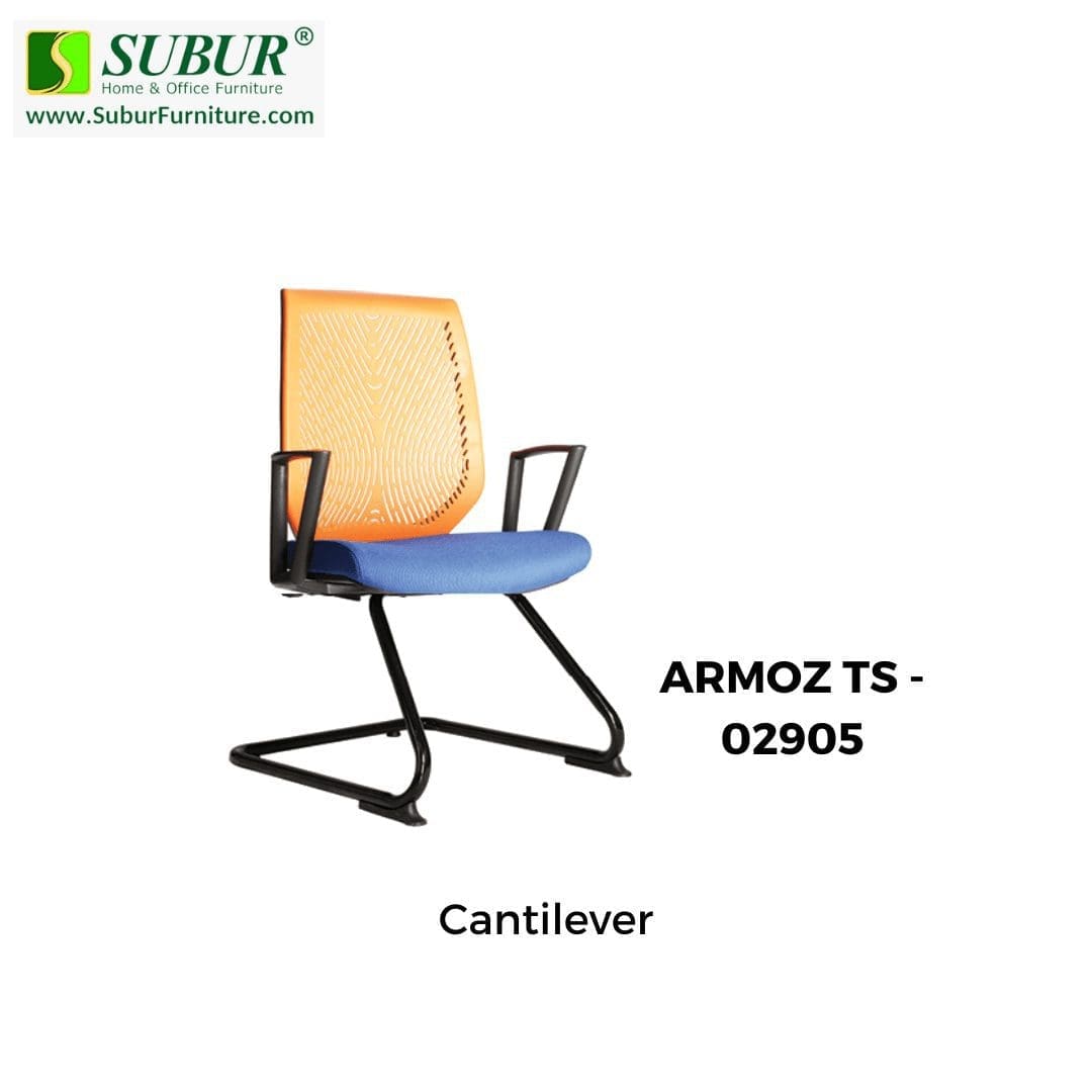 ARMOZ TS - 02905