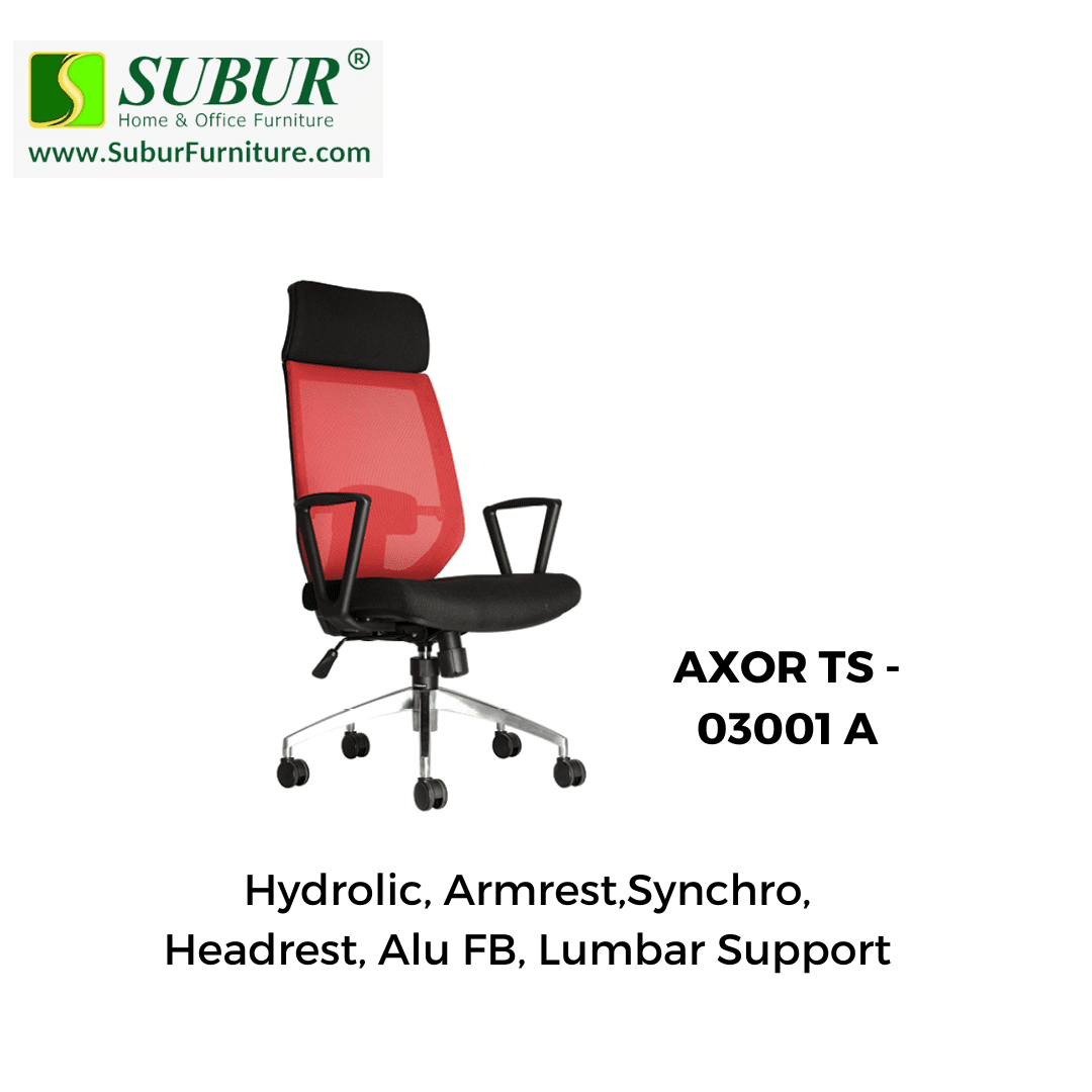 AXOR TS - 03001 A