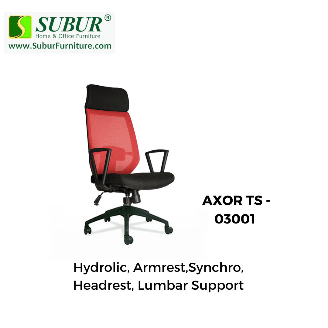 AXOR TS - 03001