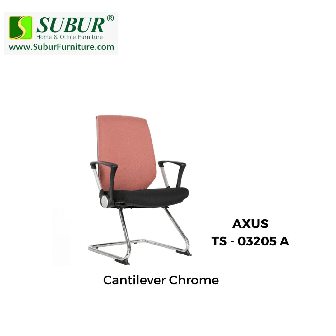 AXUS TS - 03205 A