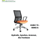 KUBIC TS - 05003 A