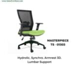 Masterpiece TS - 01303