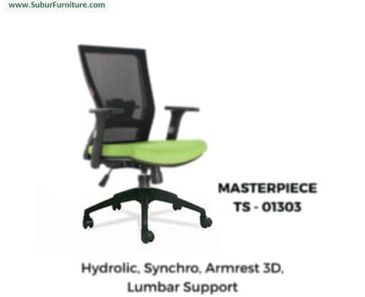 Masterpiece TS - 01303