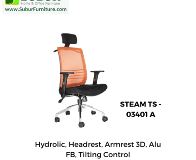 STEAM TS - 03401 A