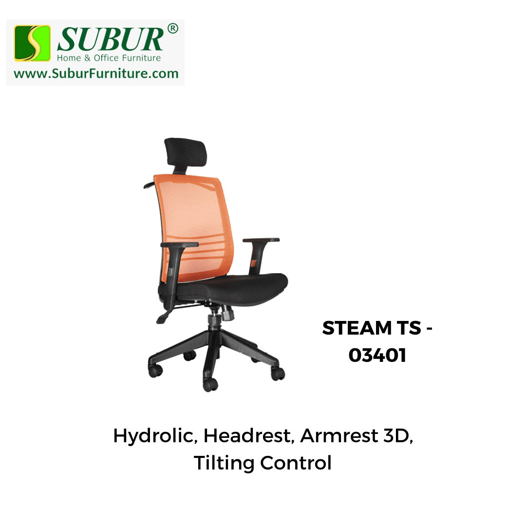 STEAM TS - 03401
