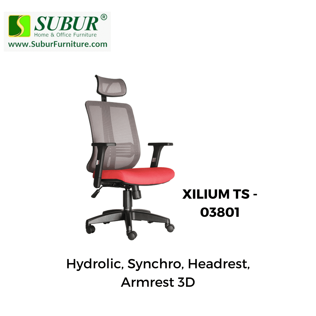 XILIUM TS - 03801