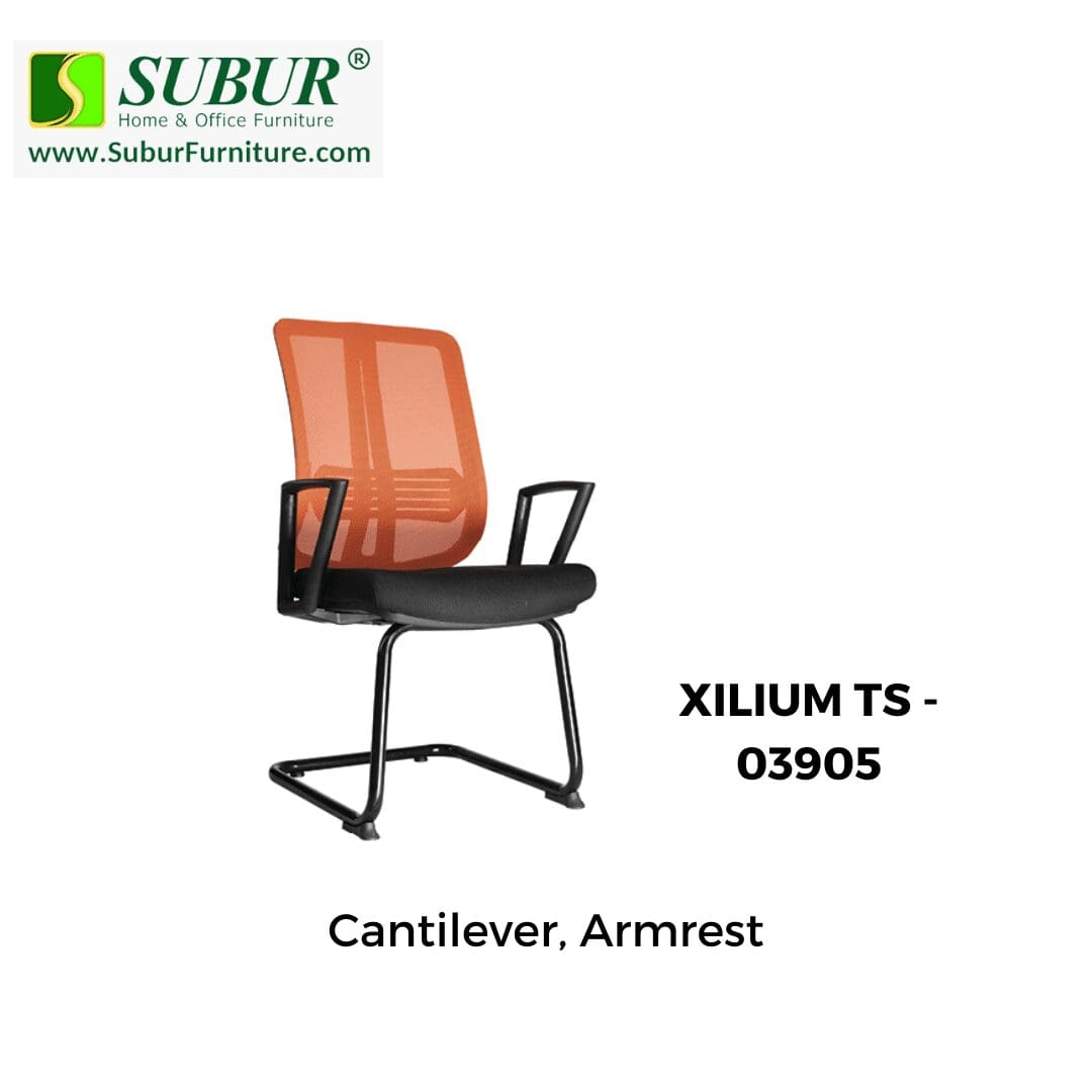 XILIUM TS - 03905