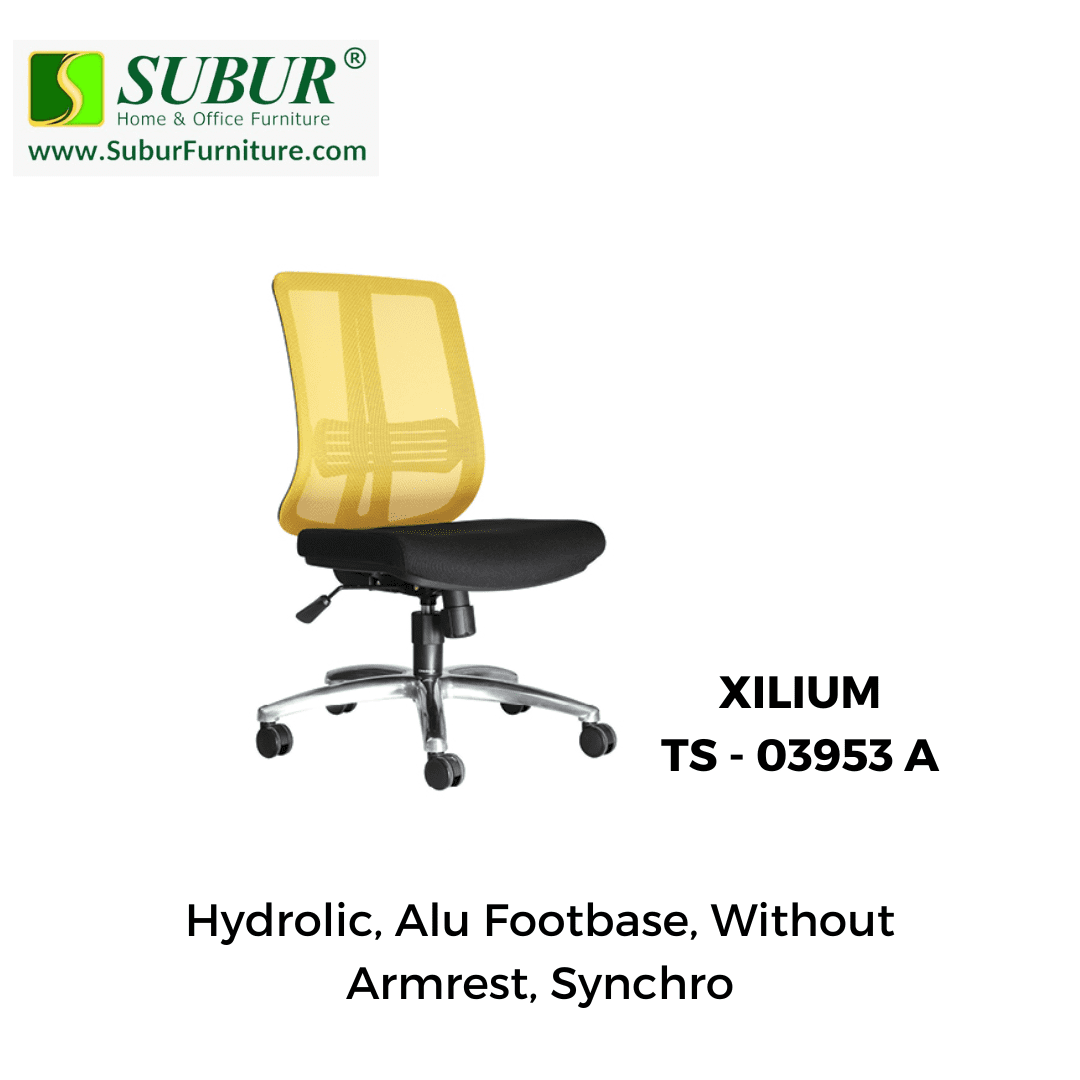 XILIUM TS - 03953 A