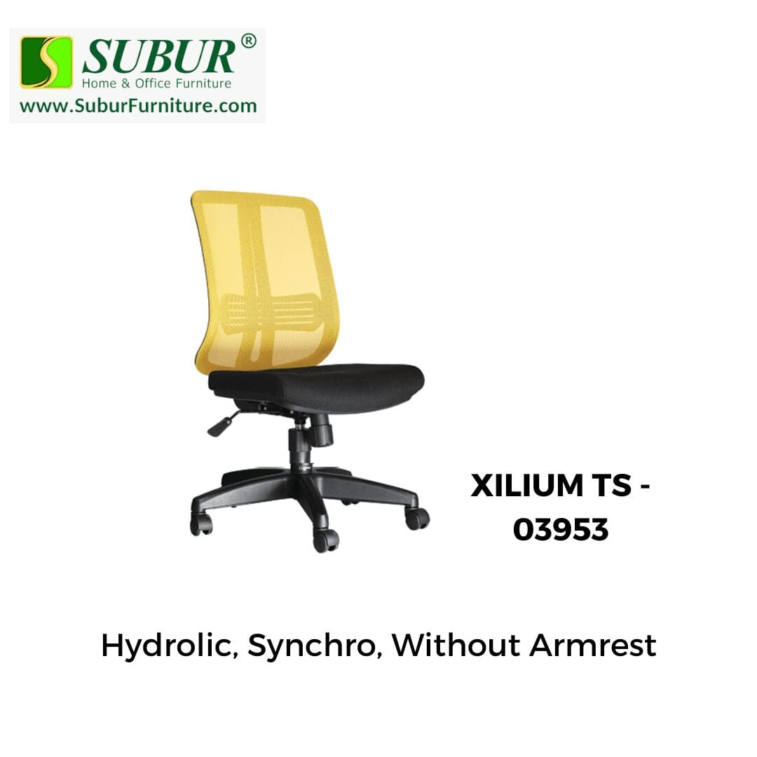 XILIUM TS - 03953