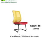XILIUM TS - 03955