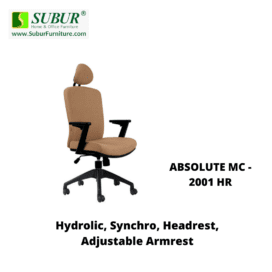 ABSOLUTE MC - 2001 HR