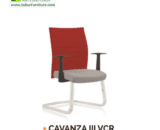 CAVANZA III VCR