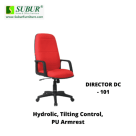 DIRECTOR DC - 101