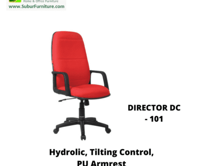 DIRECTOR DC - 101
