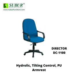 DIRECTOR DC-1100