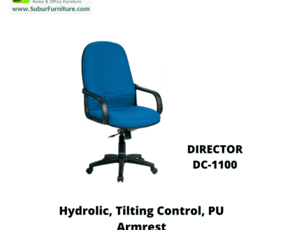 DIRECTOR DC-1100