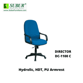 DIRECTOR DC-1100 C