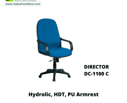 DIRECTOR DC-1100 C