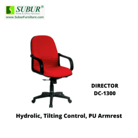 DIRECTOR DC-1300