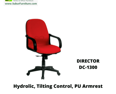DIRECTOR DC-1300