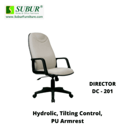 DIRECTOR DC - 201