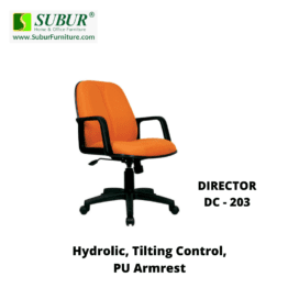 DIRECTOR DC - 203