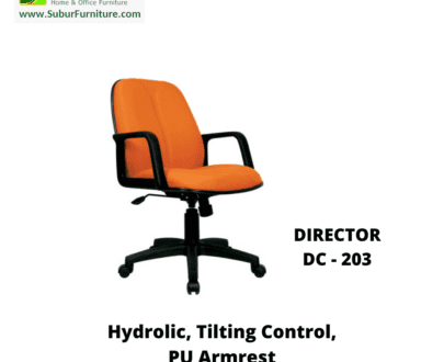 DIRECTOR DC - 203