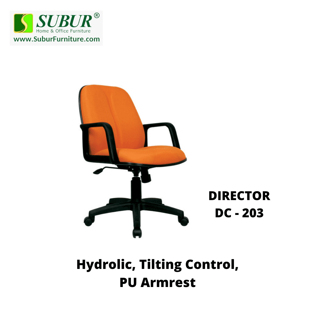 DIRECTOR DC - 203