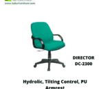 DIRECTOR DC-2300