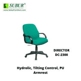DIRECTOR DC-2300