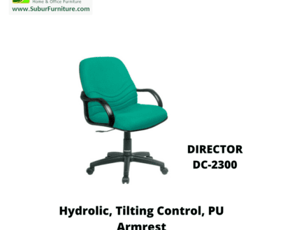 DIRECTOR DC-2300