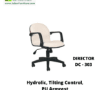 DIRECTOR DC - 303