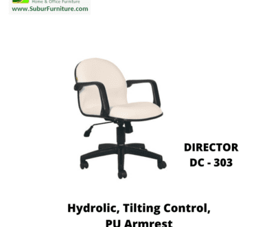 DIRECTOR DC - 303