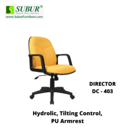 DIRECTOR DC - 403