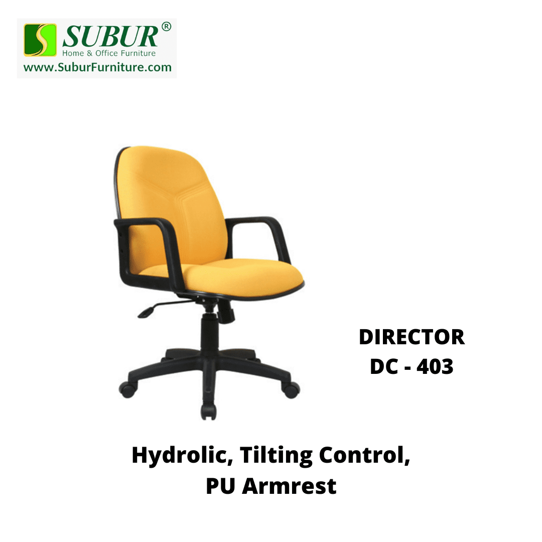 DIRECTOR DC - 403