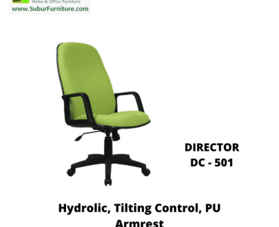 DIRECTOR DC - 501