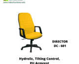 DIRECTOR DC - 601