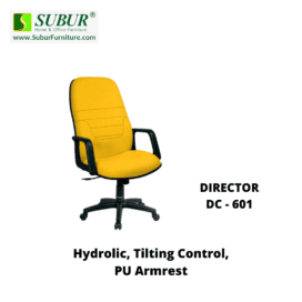 DIRECTOR DC - 601