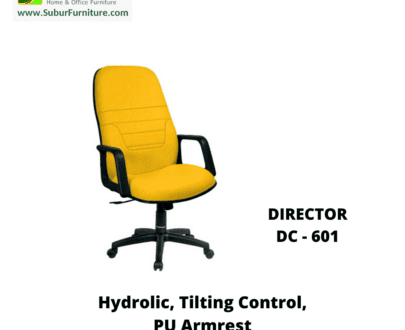 DIRECTOR DC - 601