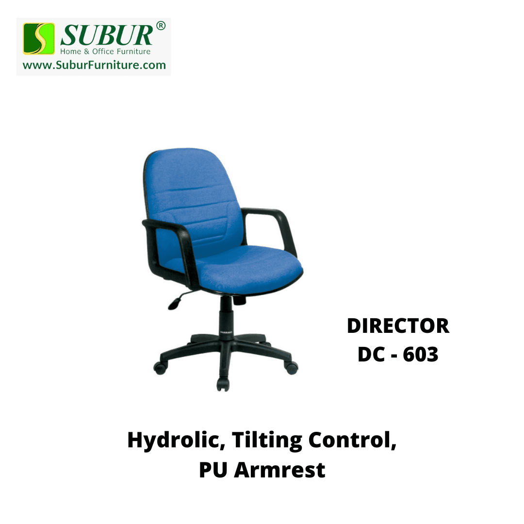 DIRECTOR DC - 603