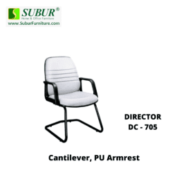 DIRECTOR DC - 705