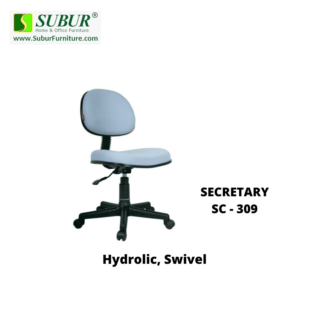 SECRETARY SC - 309