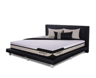 Kasur Springbed Therapedic Buoyancy F