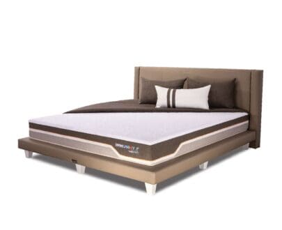 Kasur Springbed Therapedic Immunity F