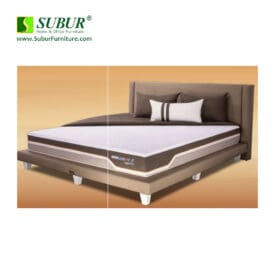 Springbed Therapedic Immunity F