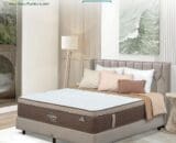 Springbed Procella tipe Morning Dew
