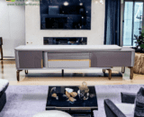 Rak TV Starlead tipe DSG03001