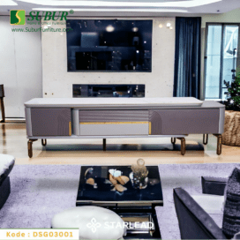 Rak TV Starlead tipe DSG03001